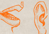 La communication
