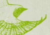 La nature et l'écologie